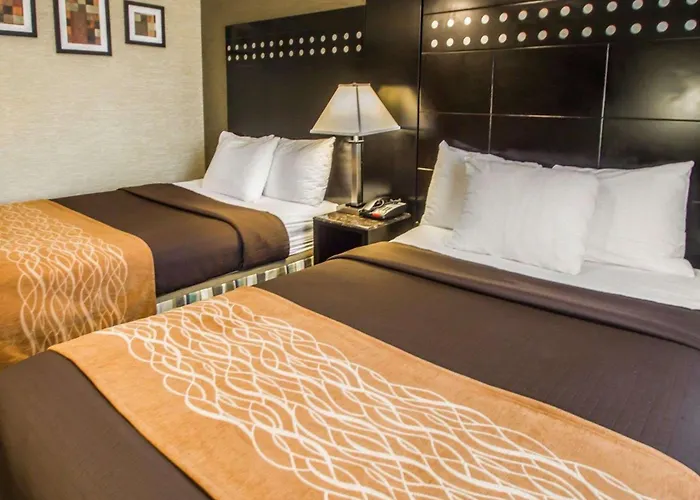 Rodeway Inn Bronx Zoo New York